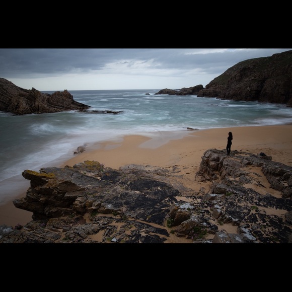 Meet your Posher, Shayla - Picture 1 of 1